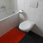 Lägenhet Vazerol *